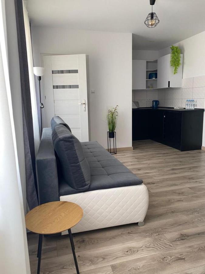 Apartamenty Zatorze Лешно Экстерьер фото